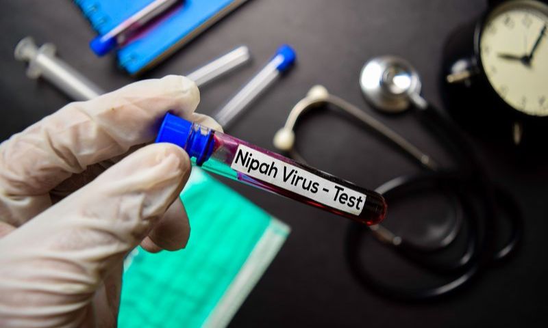 Nipah Virus, Health, Outbreak, Pakistan, India, West Bengal, Bat, Nipah Virus: What It Is and How It Spreads