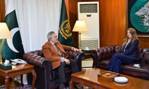 Pakistan, UK, Green Compact, European, Deputy Prime Minister, British Council,