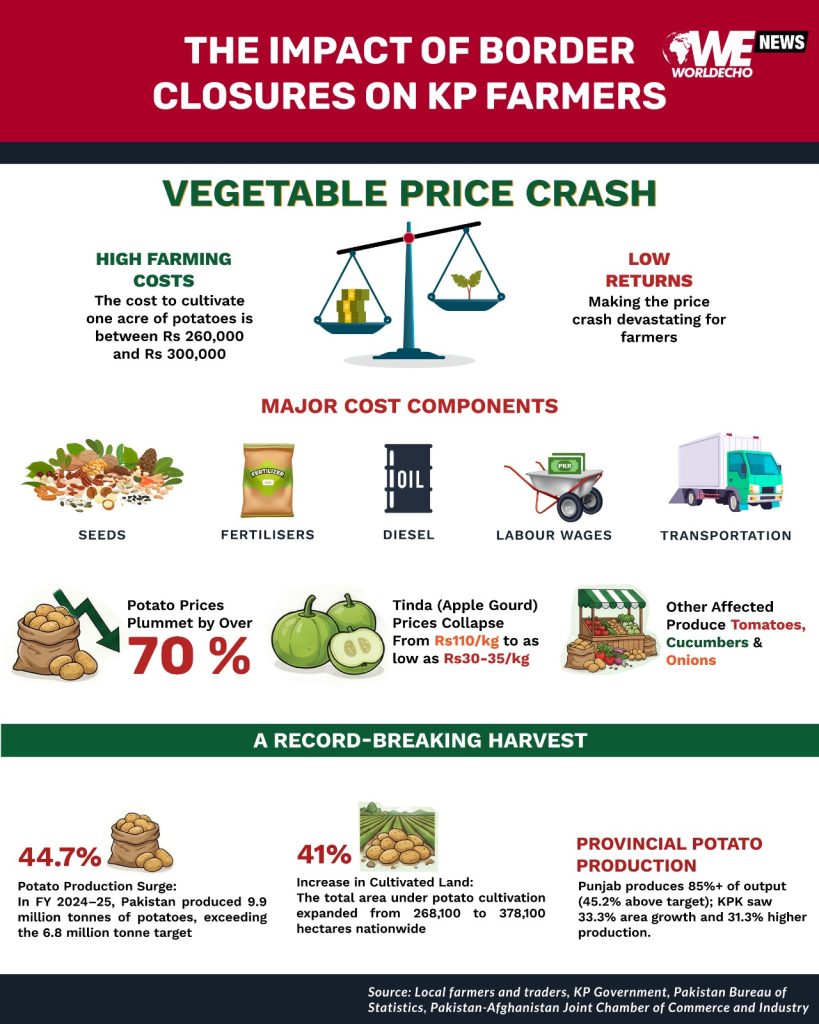 WhatsApp Image 2026 01 13 at 5.18.21 PM