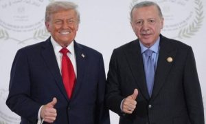 Turkiye, Trump, Board of Peace, Gaza, Erdogan, UN Security Council,