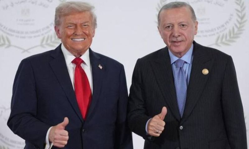 Turkiye, Trump, Board of Peace, Gaza, Erdogan, UN Security Council,