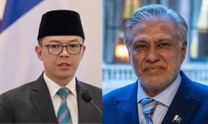 Pakistan, Indonesia, Somalia, Ishaq Dar, OIC, ASEAN, Gaza,