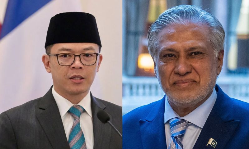 Pakistan, Indonesia, Somalia, Ishaq Dar, OIC, ASEAN, Gaza,