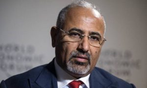 Saudi Arabia, Yemen, Southern Transitional Council Leader, Somalia, Joint Forces Command,