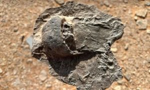 Saudi Arabia, Royal Commission for AlUla, RCU, Gondwana Research