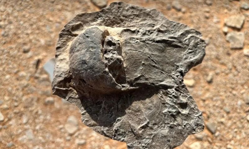 Saudi Arabia, Royal Commission for AlUla, RCU, Gondwana Research