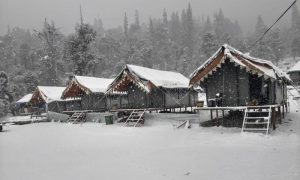 Pakistan, Avalanches, Cold Wave, NDMA,