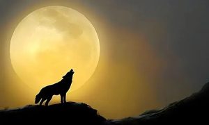 Supermoon 2026, Wolf Moon, Suparco, Celestial Event, Perigee, Moonrise Pakistan