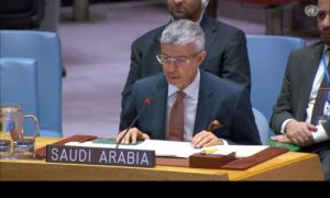 Saudi Arabia, Yemen, United Nations, Presidential Leadership Council, Southern Transitional Council, Kingdom,