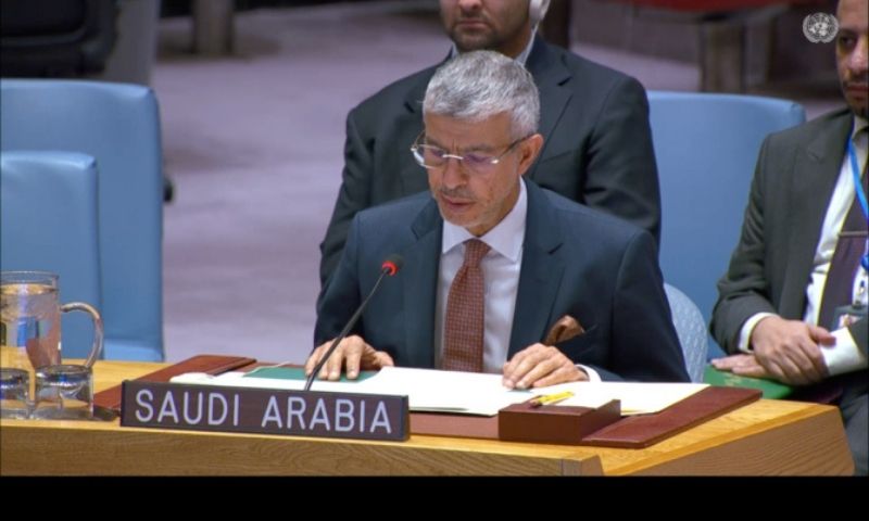 Saudi Arabia, Yemen, United Nations, Presidential Leadership Council, Southern Transitional Council, Kingdom,