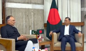 Pakistan, Bangladesh, Prime Minister, Professor Yunus, Bangladesh Nationalist Party, President Zardari,