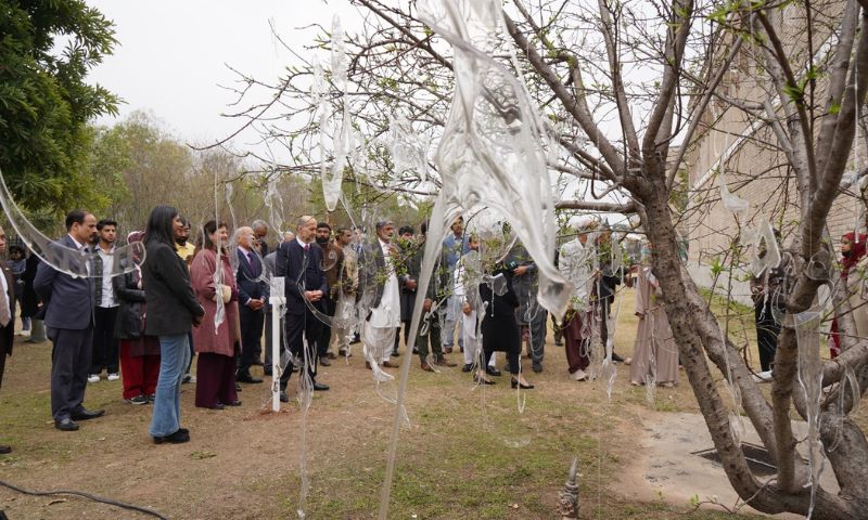 PNCA, Installation Garden, Public Art, Contemporary Art, Islamabad