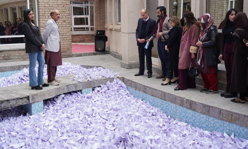 PNCA, Installation Garden, Public Art, Contemporary Art, Islamabad