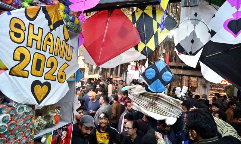 Lahore, Basant, Lahorites, Punjab Education Foundation, Kite, 