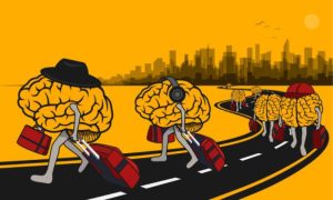 Brain Drain, Pakistan, West, Employment, Investments, Digital, America,