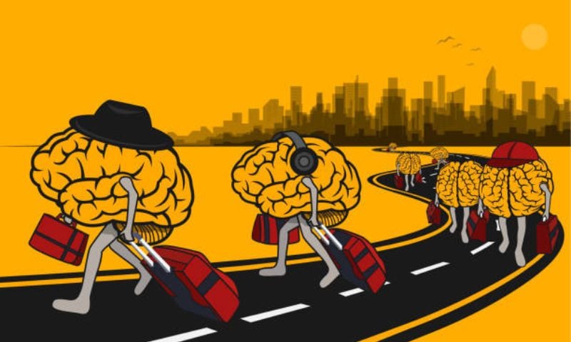 Brain Drain, Pakistan, West, Employment, Investments, Digital, America,