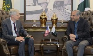 Pakistan, Interior Minister, US, Reko Diq, Green Alliance,