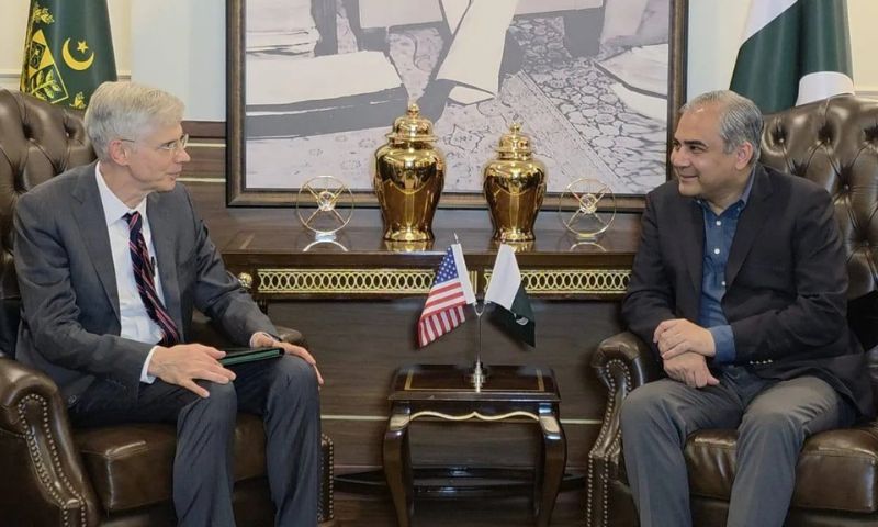 Pakistan, Interior Minister, US, Reko Diq, Green Alliance,