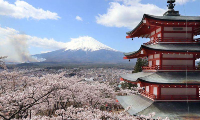 Japan, Overtourism, Cherry Blossom Festival, Mount Fuji, Sustainable Tourism, Resident Rights,
