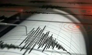 Magnitude 6.0 Earthquake Strikes Off North Indonesia: USGS