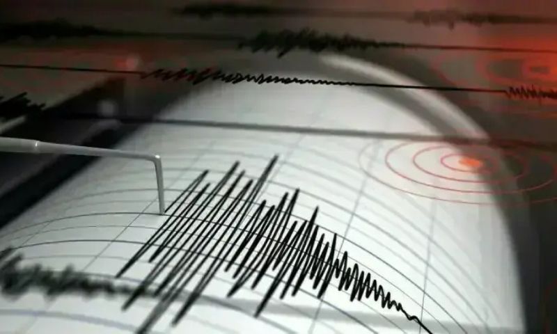Magnitude 6.0 Earthquake Strikes Off North Indonesia: USGS