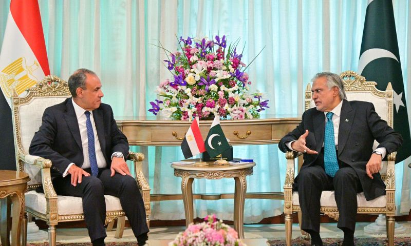 Pakistan, Egypt Discuss Diplomatic Efforts to De-escalate Iran Conflict