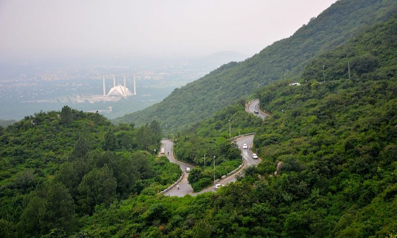 Margalla hills canva