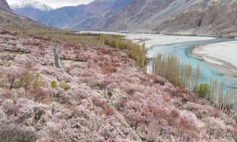 Pakistan