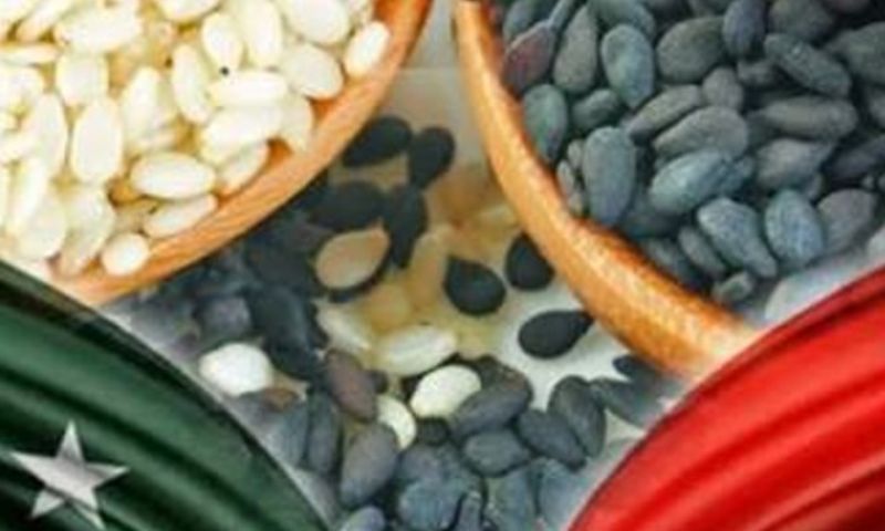 Pakistan 2026 04 02T142207.952