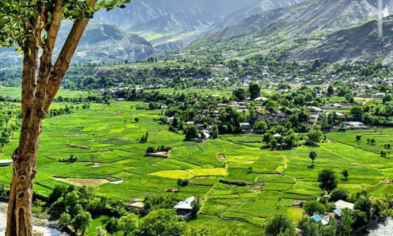 kalash 2 canva