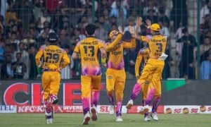 zalmi wins canva