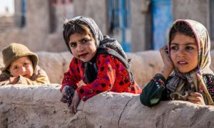 Afghans 1