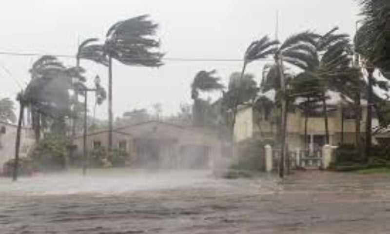 US Forecasters Warn Chances of Strong El Nino Growing