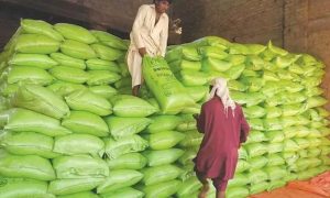 Pakistan Weighs Fertiliser Imports from Central Asia Amid Gulf Supply Disruptions