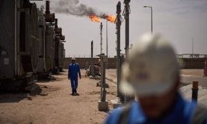 Oil