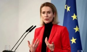 EU Vice-President's Visit to Islamabad Important for Strengthening Pakistan-EU Ties: Kashmir Council Europe