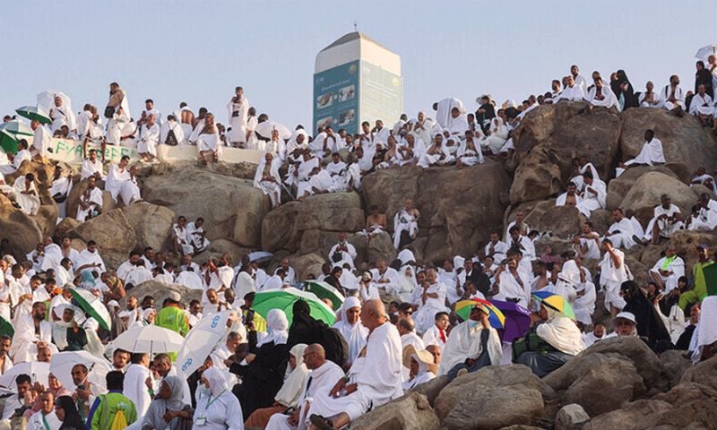 Muslim pilgrims pray on Mount Arafat in hajj climax