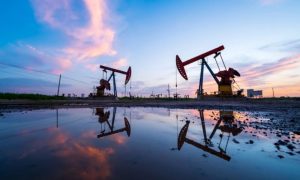 Oil