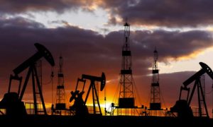 Oil