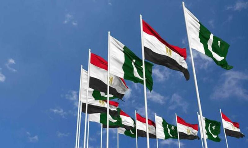 Pakistan 9 5