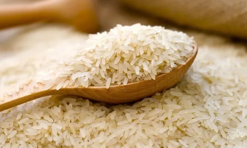 Rice