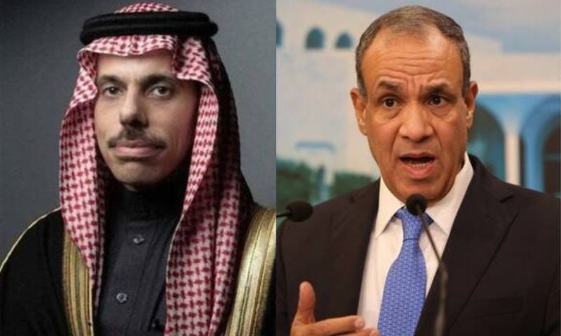 Saudi 14