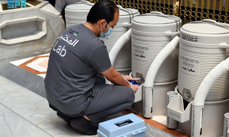 Saudi 7