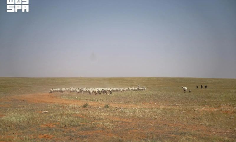 Saudi Arabia 2