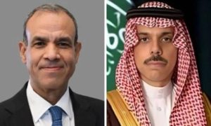 Saudi, Egyptian Foreign Ministers Discuss Regional Developments