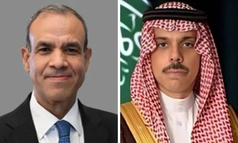 Saudi, Egyptian Foreign Ministers Discuss Regional Developments