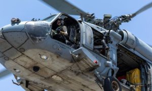 Sea Hawk