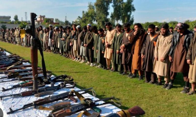 Taliban