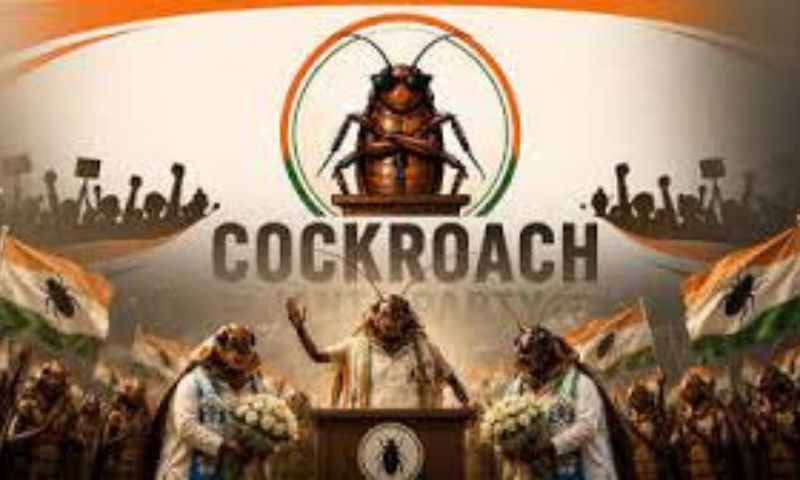 cockroach party canva