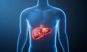 fatty liver canva